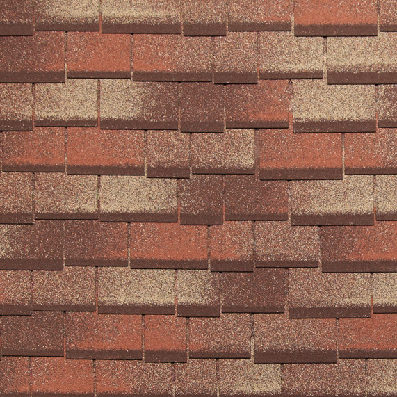 Бітумна черепиця Tegola TM колекція zodchiy (Зодне-дерево). - Зображення 4