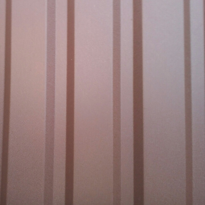 Ruukki T-20 RR 887, 0.5 мм глянець, Цинк 275 - Зображення 2