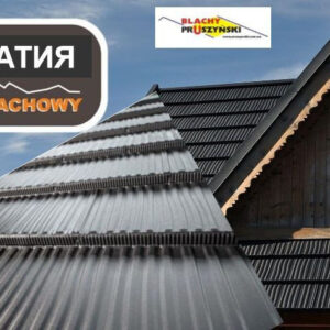 Модульна металочерепиця Карпатія Pruszynski PURLAK RR 028