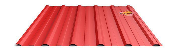 Профнактил для покрівлі Т-18 Blachy Pruszynski ⁇ 0,45 мм ⁇ RAL 7024 PEMA ⁇ Marcegaglia. - Зображення 3