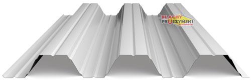 Профнастил Т 92 • 0,88 мм ZN • Прушинскі • - Зображення 9