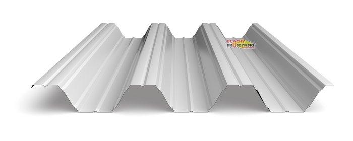 Профнастил Т 92 • 0,88 мм ZN • Прушинскі • - Зображення 10