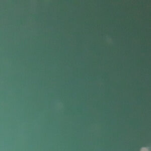 Гладкий лист 0,45 мм RAL 6005 Алюцинк із полімерним покриттям