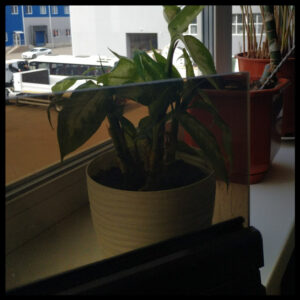 Полікарбонат монолітний прозорий бронзовий 4 мм — ® POLYGAL.Лист 3.05м/2.05м