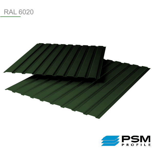 Профнастил ПР-20 А / ПСМ профіль / Арселор Мітл МАТ / Ral 8017 0.5 мм - Зображення 8