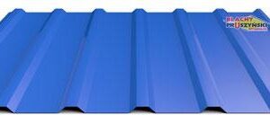 Профнастил T 18 • Blachy Pruszynski • 0,45 мм • PEMA