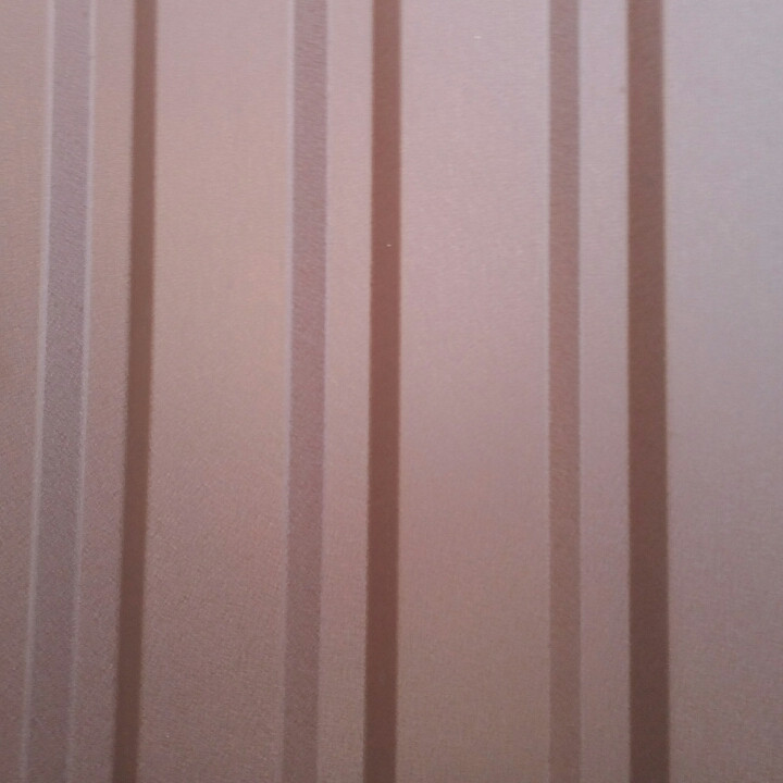 Профнаcтил покрівельний Т-20 | 0,45 мм RM - Зображення 6